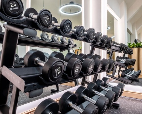 Sudbury House Gym